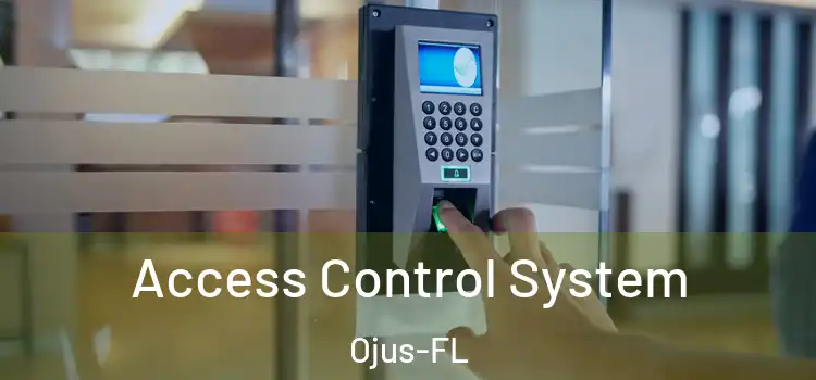  Access Control System Ojus-FL