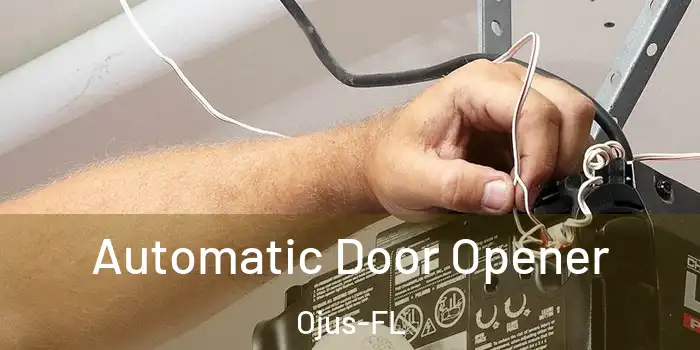  Automatic Door Opener Ojus-FL