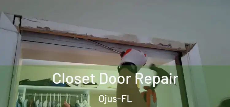  Closet Door Repair Ojus-FL