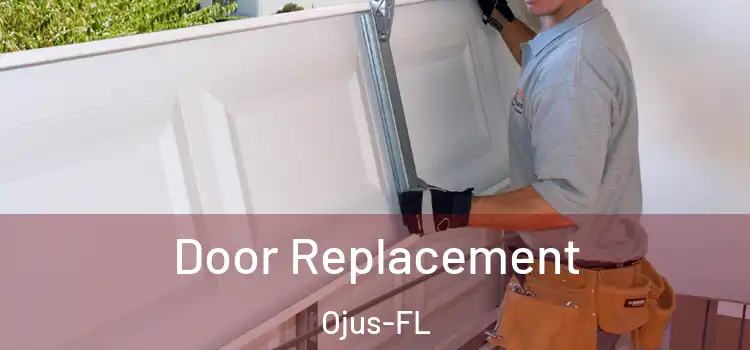  Door Replacement Ojus-FL
