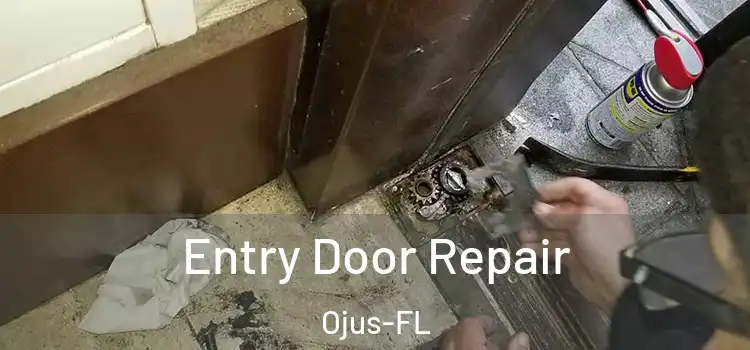  Entry Door Repair Ojus-FL