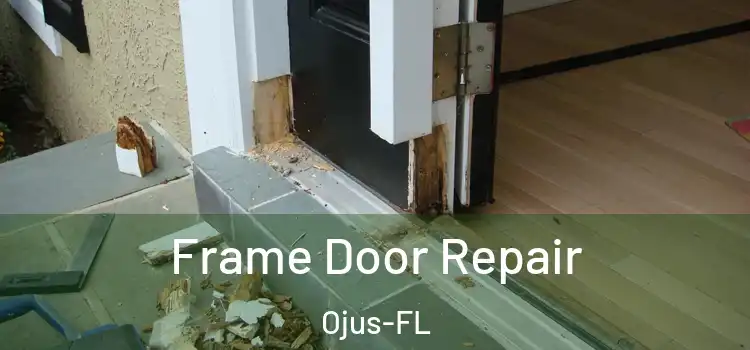  Frame Door Repair Ojus-FL