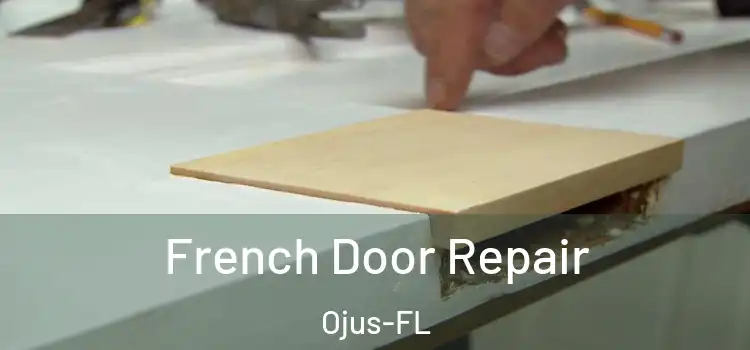  French Door Repair Ojus-FL
