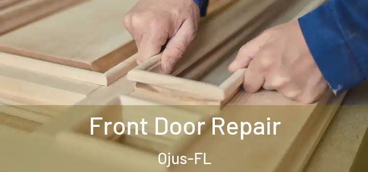 Front Door Repair Ojus-FL