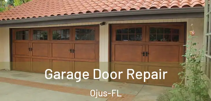  Garage Door Repair Ojus-FL