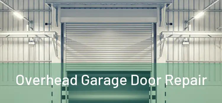  Overhead Garage Door Repair 