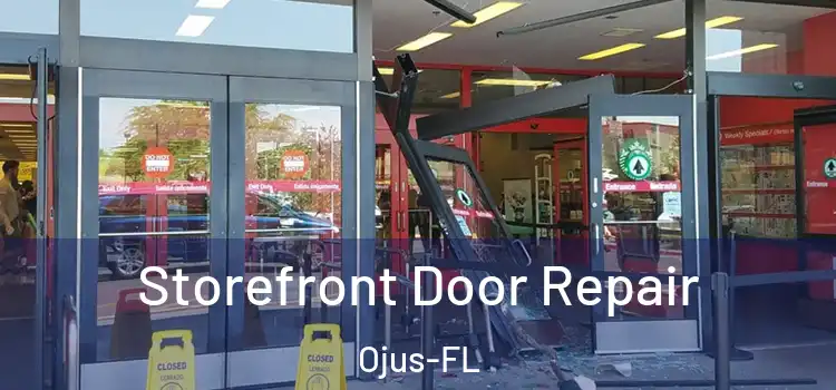  Storefront Door Repair Ojus-FL